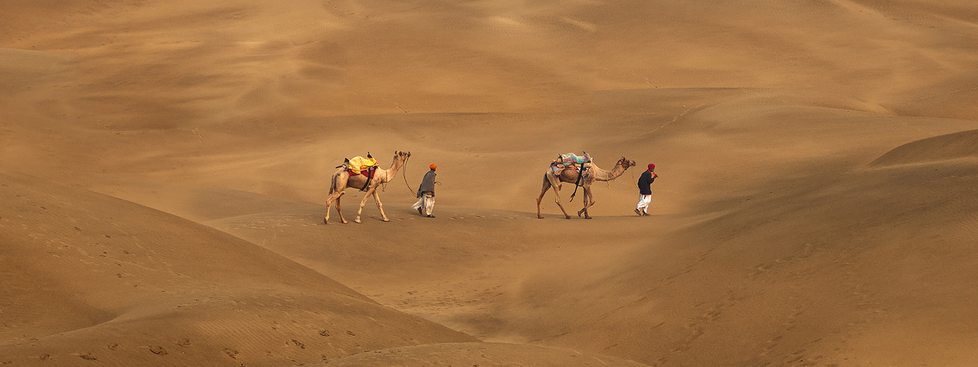 Thar Desert with Camels 3