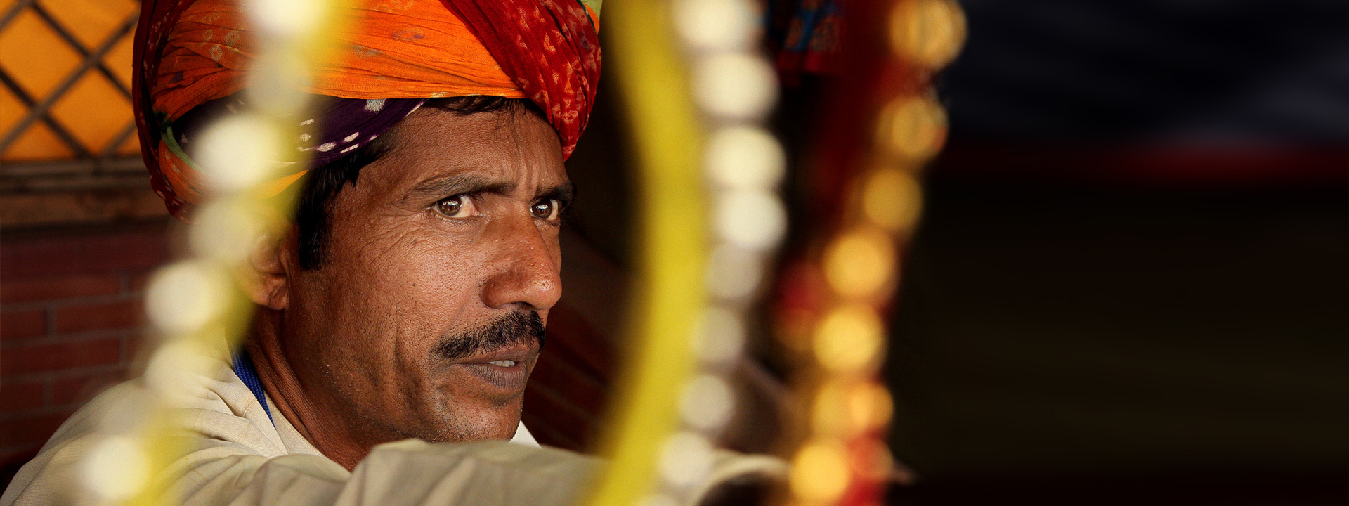 Closeup portrait 1