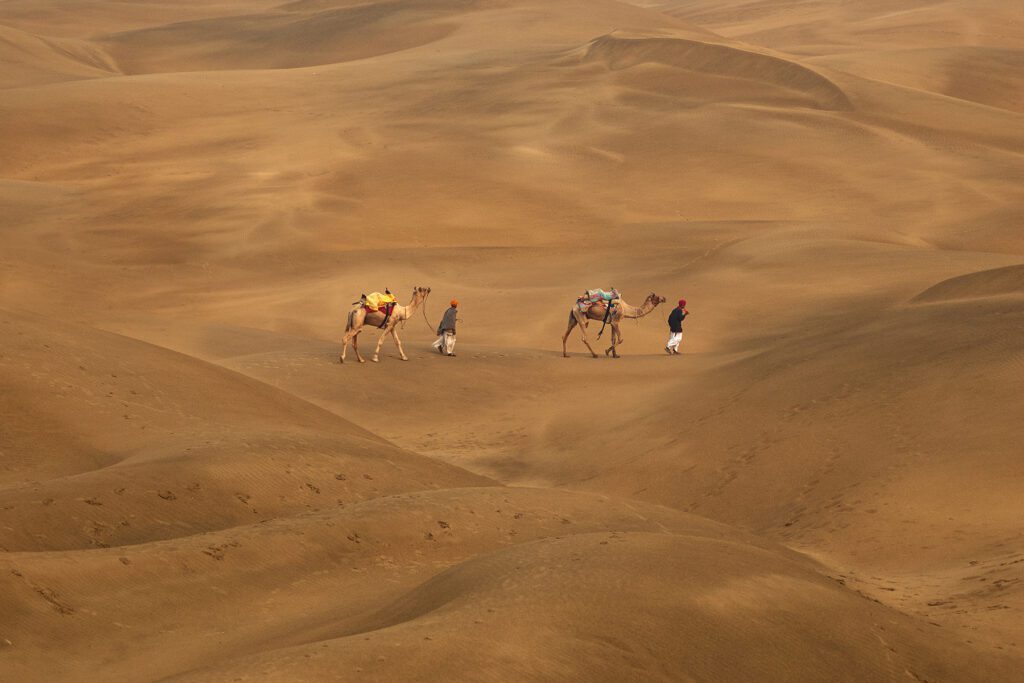 Thar Desert with Camels 3