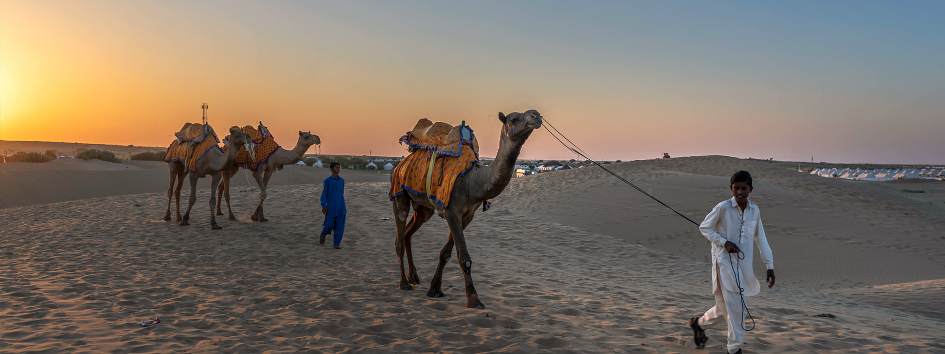 Thar Desert with Camels 4