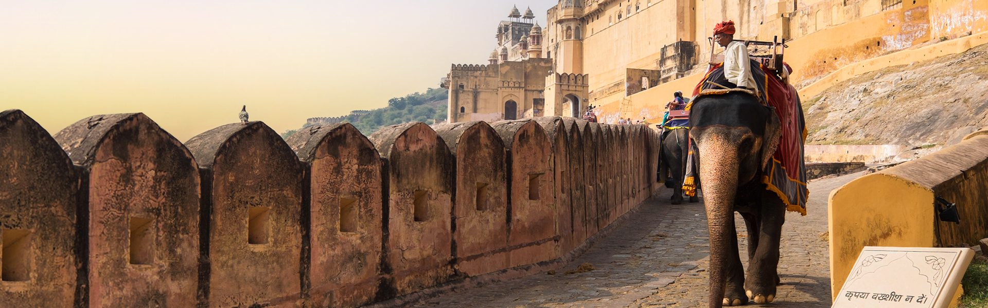 Amber Fort 5