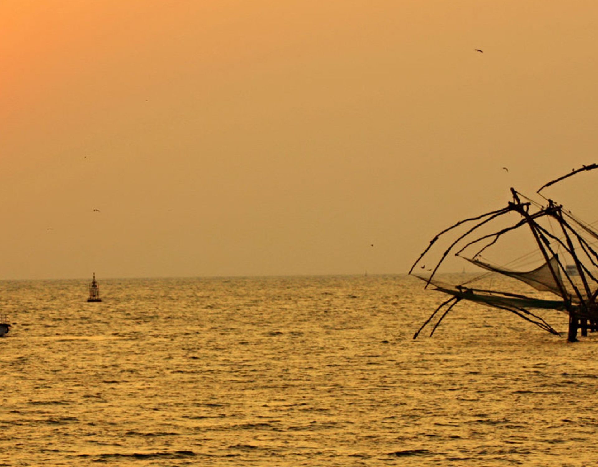 Kochi Chinese fishing nets 2