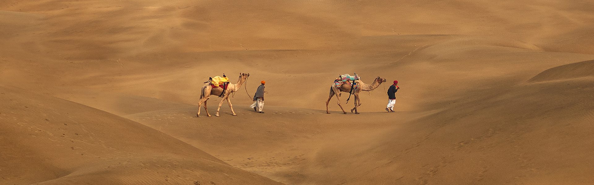 Thar Desert with Camels 3