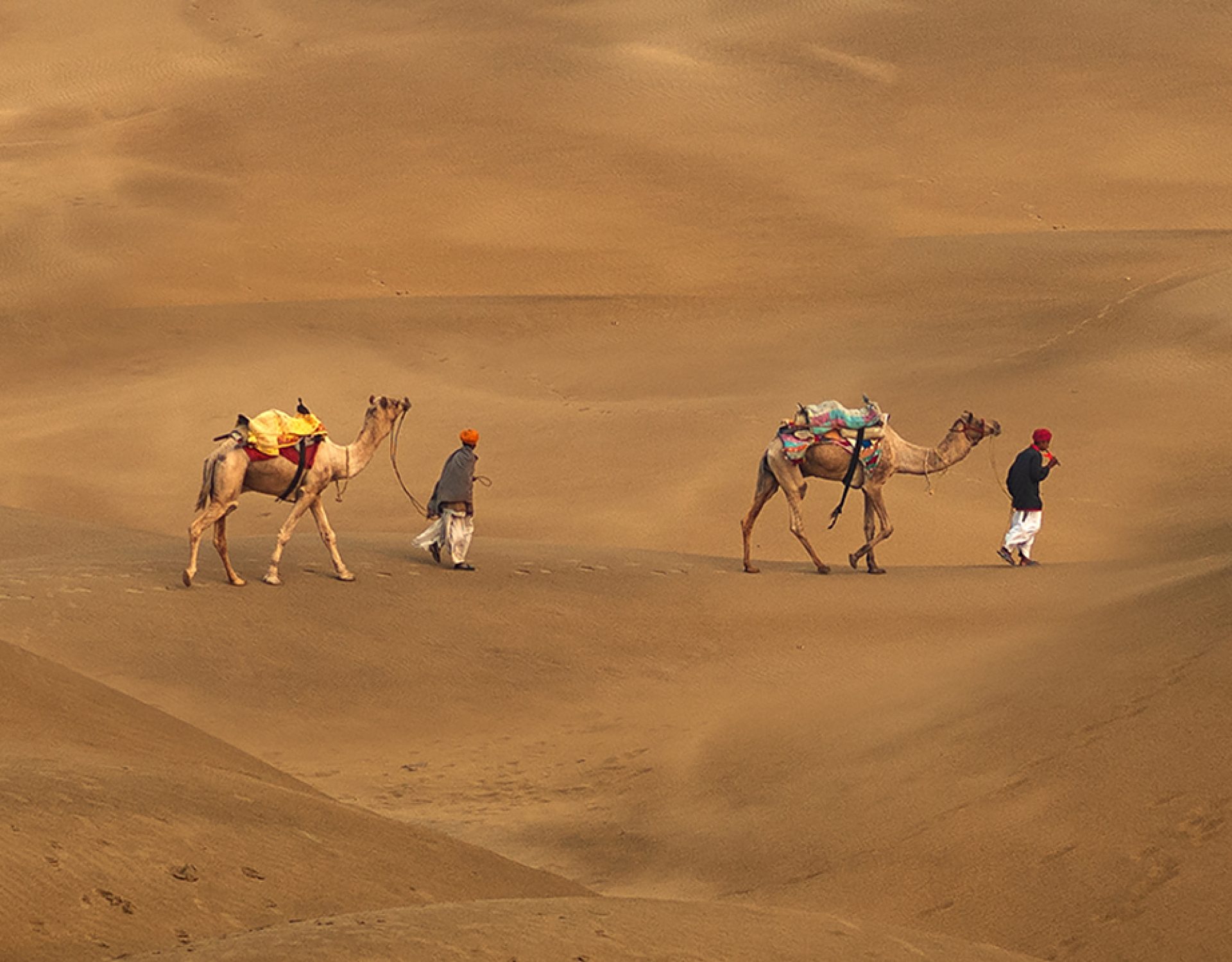 Thar Desert with Camels 3