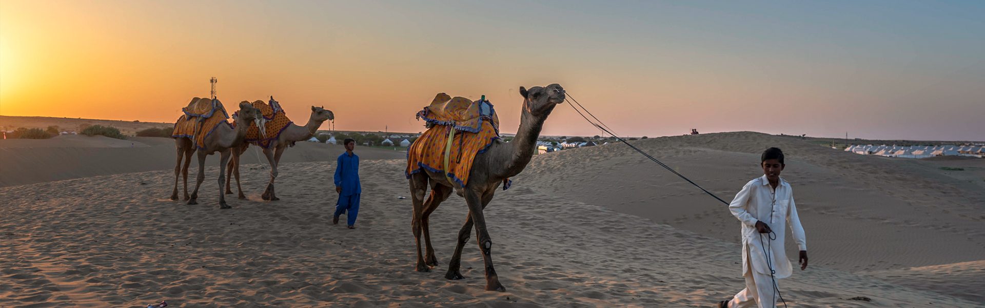 Thar Desert with Camels 4